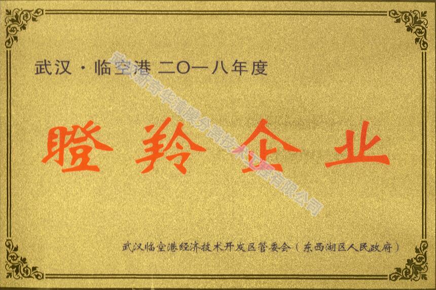 2018年，榮獲“瞪羚企業(yè)”稱號(hào)